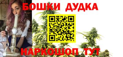 индика Нягань