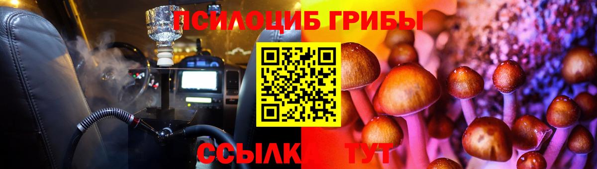 Псилоцибиновые грибы GOLDEN TEACHER Ступино